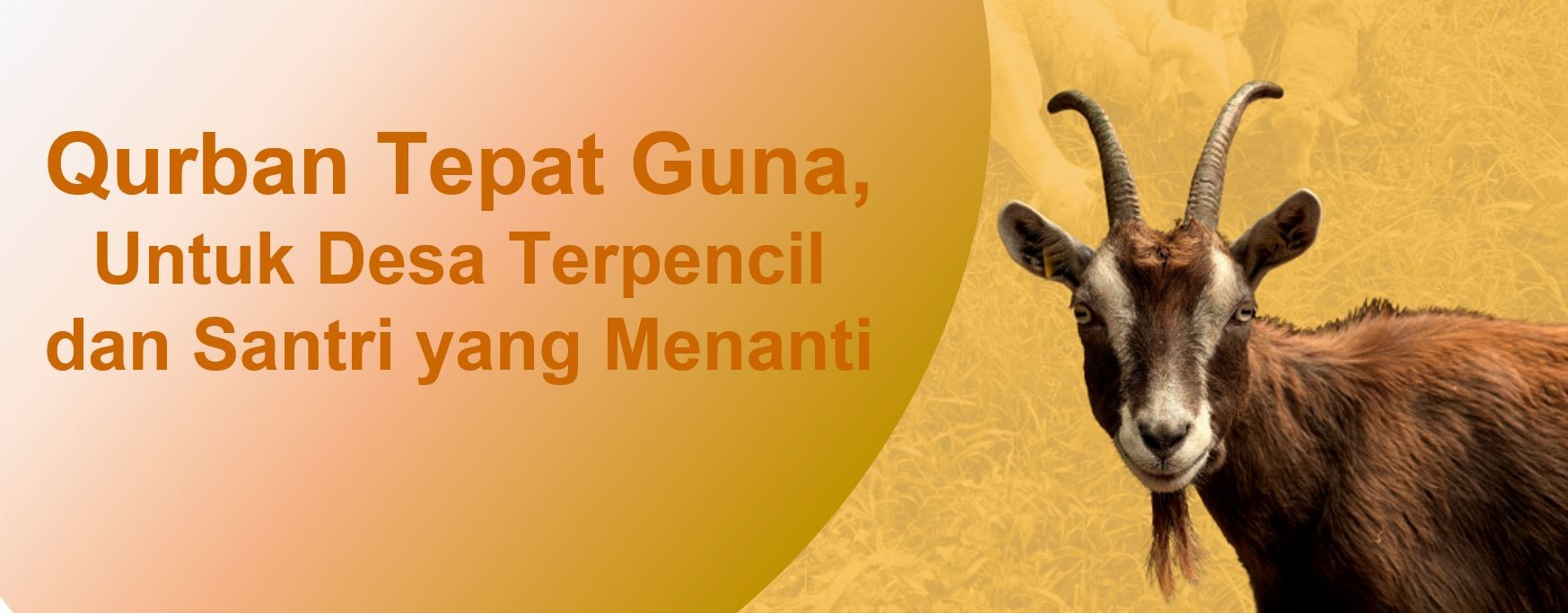 Flow Diagram Berkurban